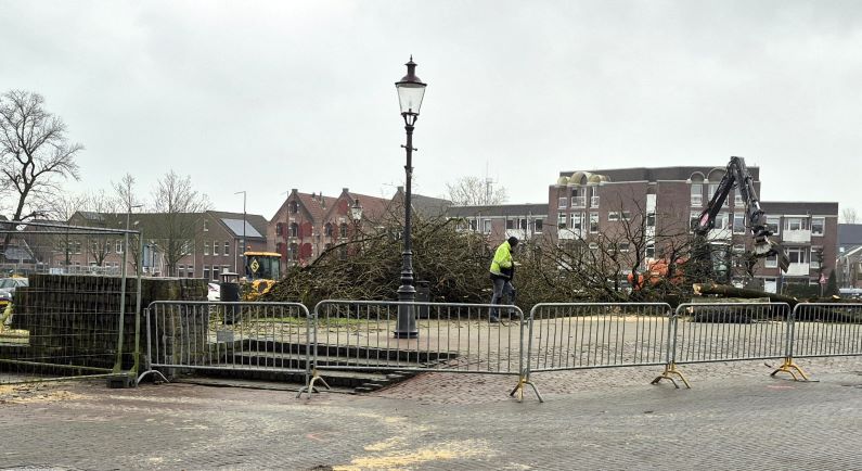 Bomen Markt verplaatst en gekapt