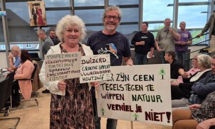 Bomenkap Drostenstraat: “De gemeente moet zich schamen”