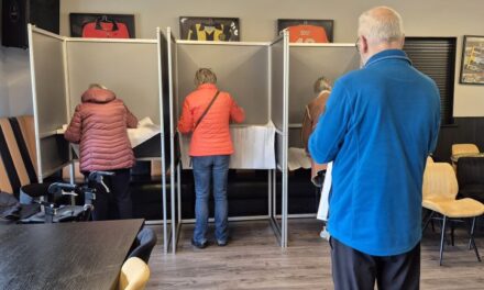 Opkomst rond half twee: 34,7 procent