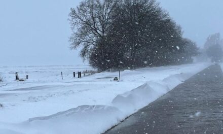 Sneeuw goed nieuws voor aanvullen grondwater