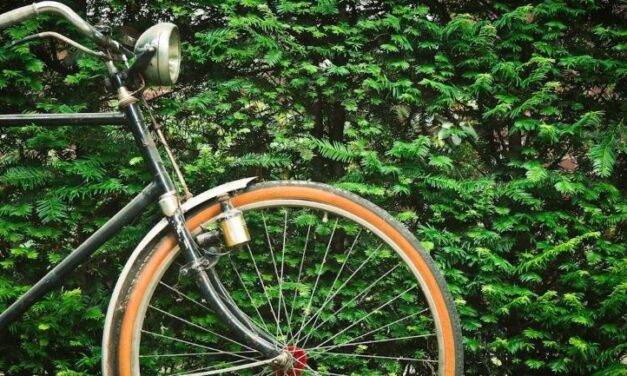 Fietstocht van ijsvereniging Voorwaarts Sleen