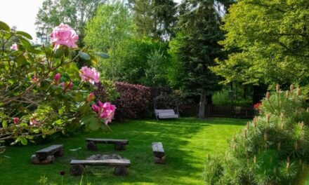 Tuinranden geven je buitenruimte een compleet ander gezicht