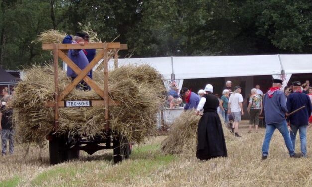 Holthoner Oogstdag en wandeltochten op zaterdag 25 juli