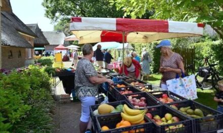 Mini-weekmarkten in Gees