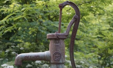 Verbod op onttrekking grondwater rond kwetsbare natuur Zuidoost-Drenthe