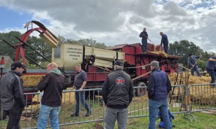 Een dag vol activiteiten in Gees