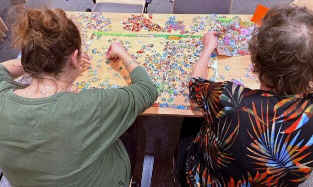 Legpuzzelkampioenschap in Sleen en Schoonoord