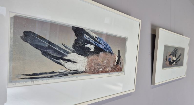 ‘De omgekeerde wereld’: tentoonstelling in Thijnhof
